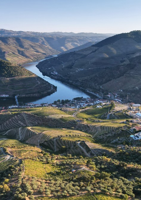 Douro Tour - Half Day Afternoon